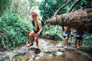 BIB: 
                            <button type="button" onclick="openModal(25375466)" class="btn btn-primary btn-sm float-right btn-popup" data-toggle="modal" data-target=".modal-high-quality">
                        <i class="fas fa-shopping-cart"></i> Add to Cart
                    </button>
                                            <button type="button" onclick="isThisMe(25375466, true)" class="btn btn-success btn-sm float-right btn-popup btn-isme hidden" data-toggle="tooltip" data-placement="bottom" title="นี่คือรูปของคุณใช่ไหม คลิกที่นี่เพื่อเอาเข้าอัลบั้ม">
                        <i class="fas fa-plus"></i> Add to album
                    </button>
                    <button type="button" onclick="isThisMe(25375466, false)" class="btn btn-warning btn-sm float-right btn-popup btn-isnotme hidden">
                        <i class="fas fa-ban"></i> Remove from album
                    </button>